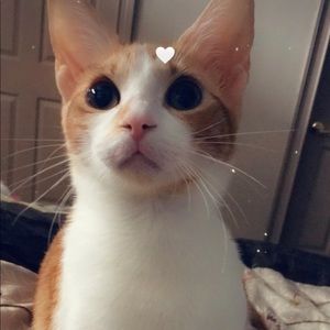 Meet your Posher, James